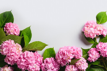 Border of fresh pink hydrangea flower on grey background. 