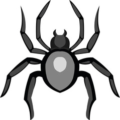 Vector illustration of a spider