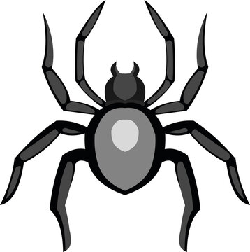 Vector illustration of a spider