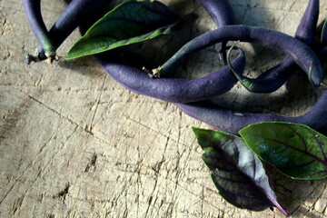 Fototapeta premium Green asparagus beans of violet shades close-up, selective focus.