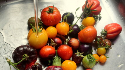 Multicolored tomatoes are washed under running water close-up, selective focus.