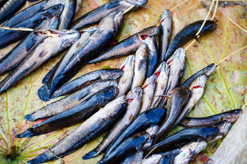 Obraz premium Seafood market