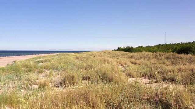 Drone clip of grass, swaying in the wind. At the beach in Fårö, Sweden.