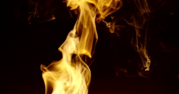 Raging golden flame expires. Isolated on black background. 4k DCI footage.