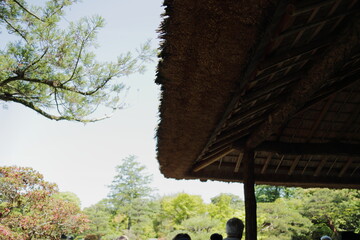 京　桂　20150511