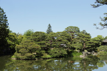 京　桂　20150511