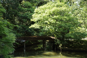 京　桂　20150511