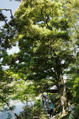 京　桂　20150511