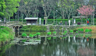 Obraz premium Maizuru Park, Fukuoka city, Japan. 