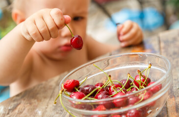 Cute happy boy taking sweet cherry from the plate, outdoor in garden