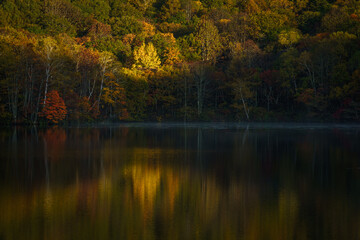 紅葉の戸隠鏡池