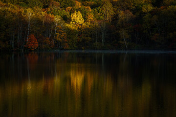 紅葉の戸隠鏡池