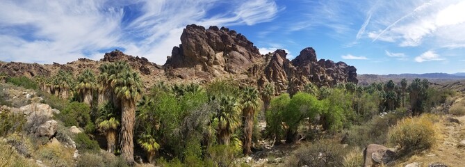 Panorama Andreas Canyon in Palm Spring California