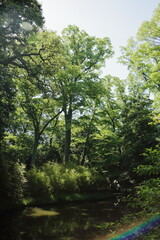 京　桂　20150511