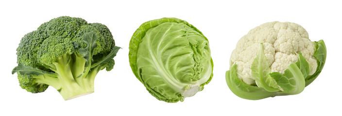 Different cabbage - broccoli, white and cauliflower, isolated on a white background.