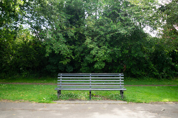 Empty bench in a park