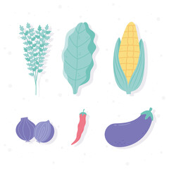 vegetables fresh organic nutrition diet healthy food corn onion chili pepper icons