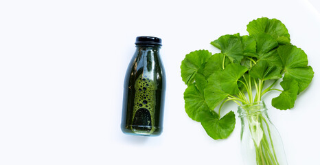 Gotu kola leafs juice drink for health on white background