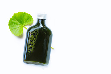 Gotu kola leaves juice for health on white background.