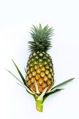 Single whole pineapple on white