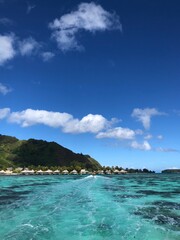 Fototapeta na wymiar Mo’orea, French Polynesia 