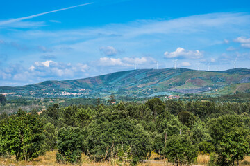 Beautiful countryside landscape with different types of trees and colorful hills in the background with wind towers, Pedrogão Pequeno PORTUGAL
