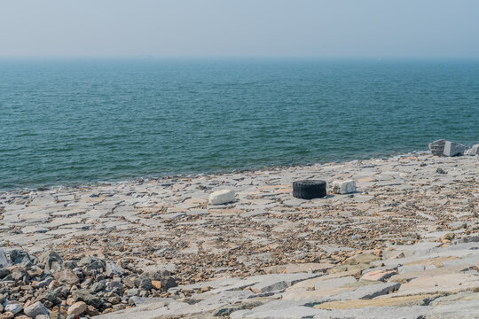 Tractor Tire Laying On Ocean Causeway