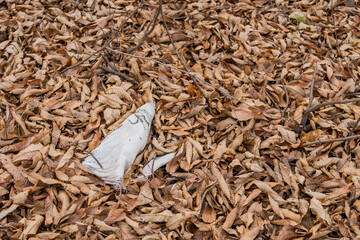 White burlap on brown leaves