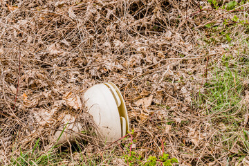 White toilet laying in brown grass