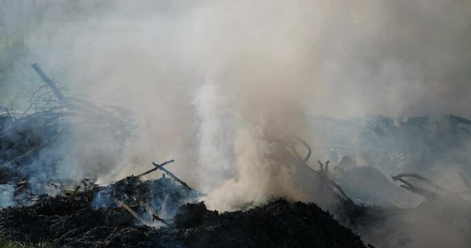 Agriculture. Fire in the countryside