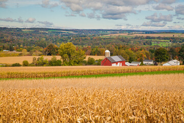 A corn field, Red Barn and Silo in the Finger Lakes Region of Upper New York