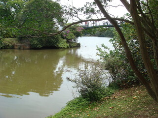 river in the Ibirapuera park