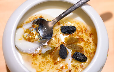 healthy yogurt with raisin on top