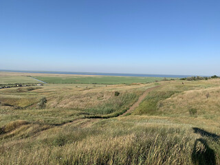 Obraz premium Landscape with green grass and blue sky