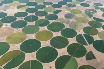 Aerial View of Center Pivot Irrigated Fields in Colorado, USA
