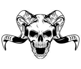 Long horned skull with white background