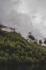 Mountain covered by dense forest on background of lake & grey cloudy sky. Vertical wallpaper