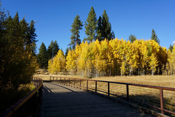 Fototapeta na wymiar A path through the meadows with autumn colors near Lake Tahoe, California
