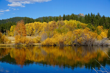 Fototapeta na wymiar Autumn colors reflected in a pond near Lake Tahoe, California