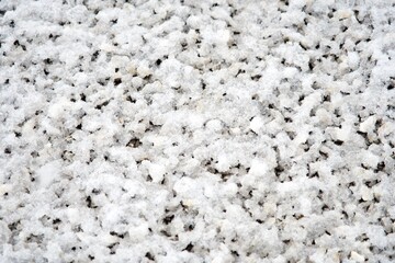 小石の上に積雪