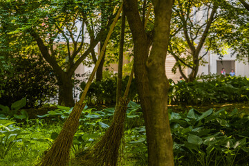 Two bamboo brooms