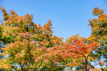 京都　醍醐寺