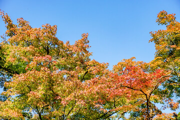 京都　醍醐寺