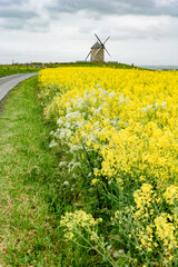 The windmill in Pontorson, France.