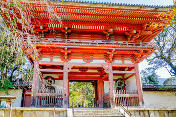 京都　醍醐寺