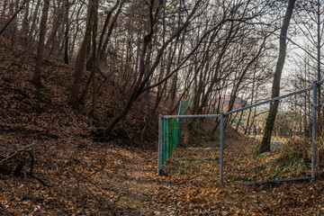 Green chain link fence