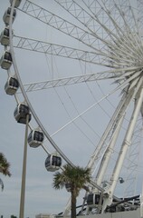 ferris wheel in the park