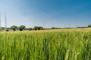 Peaceful landscape photo of a village nearby Rochester