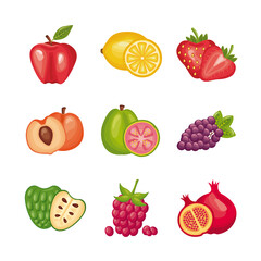 bundle of fresh fruits set icons