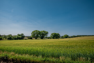 Fototapeta premium Peaceful landscape photo of a village nearby Rochester